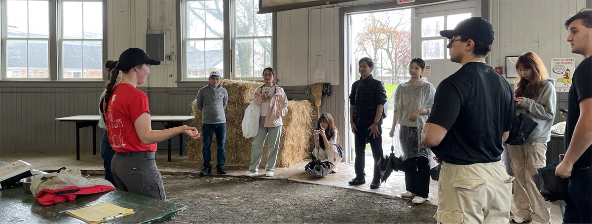 Students at a stable